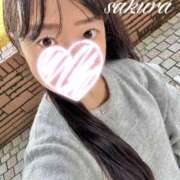 ヒメ日記 2026/03/19 11:15 投稿 さくら 華美人