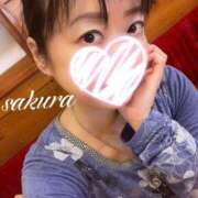 ヒメ日記 2026/03/19 23:14 投稿 さくら 華美人