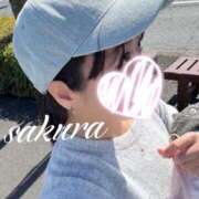 ヒメ日記 2026/03/22 11:00 投稿 さくら 華美人