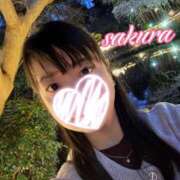 ヒメ日記 2026/03/24 22:04 投稿 さくら 華美人