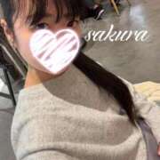 ヒメ日記 2026/04/01 18:16 投稿 さくら 華美人