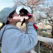 ヒメ日記 2026/04/06 08:40 投稿 さくら 華美人