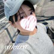 ヒメ日記 2026/04/07 19:29 投稿 さくら 華美人