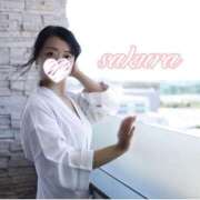 ヒメ日記 2026/04/14 16:55 投稿 さくら 華美人