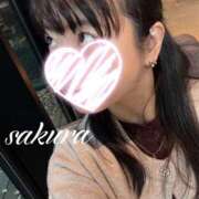 ヒメ日記 2026/04/29 08:40 投稿 さくら 華美人