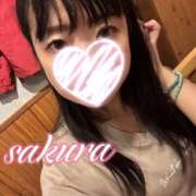 ヒメ日記 2026/05/03 20:30 投稿 さくら 華美人