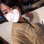ヒメ日記 2026/05/05 06:19 投稿 さくら 華美人