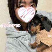 ヒメ日記 2026/07/02 05:18 投稿 さくら 華美人