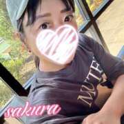 ヒメ日記 2026/08/07 23:43 投稿 さくら 華美人