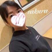 ヒメ日記 2026/08/12 19:28 投稿 さくら 華美人