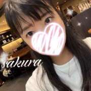 ヒメ日記 2026/08/13 14:17 投稿 さくら 華美人