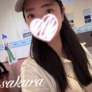 ヒメ日記 2026/08/28 13:33 投稿 さくら 華美人