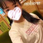 ヒメ日記 2026/09/10 10:40 投稿 さくら 華美人
