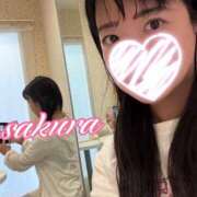 ヒメ日記 2026/09/12 08:01 投稿 さくら 華美人