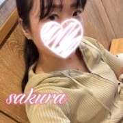 ヒメ日記 2026/09/16 13:08 投稿 さくら 華美人
