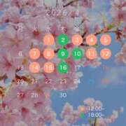 ヒメ日記 2026/04/07 12:06 投稿 ころん デリワゴン in りふれっしゅ