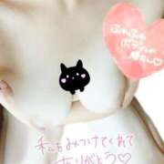 ヒメ日記 2025/07/29 10:05 投稿 北谷 BBW札幌店