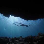 ヒメ日記 2025/07/08 01:52 投稿 白咲れいか Darlin Premium(ダーリンプレミアム)