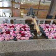 ヒメ日記 2025/01/13 09:00 投稿 あまね 素人・人妻 SHIRAYURI（しらゆり）