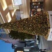 ヒメ日記 2025/11/13 13:41 投稿 あまね 素人・人妻 SHIRAYURI（しらゆり）