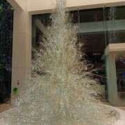 ヒメ日記 2025/12/14 10:06 投稿 あまね 素人・人妻 SHIRAYURI（しらゆり）