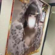 ヒメ日記 2024/10/29 11:55 投稿 ももな♡極上SPコース♡ PANTHER（パンサー）