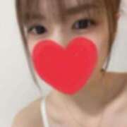 ヒメ日記 2024/12/23 17:34 投稿 ねこ ラブライフ所沢川越