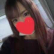 ヒメ日記 2025/08/14 14:04 投稿 ねこ ラブライフ大宮岩槻店