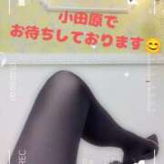 ヒメ日記 2025/01/26 08:15 投稿 ゆきな 小田原人妻城