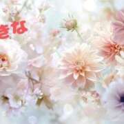 ヒメ日記 2025/02/06 09:01 投稿 ゆきな 小田原人妻城