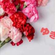 ヒメ日記 2025/02/11 18:49 投稿 ゆきな 小田原人妻城