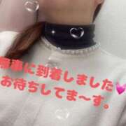 ヒメ日記 2025/02/19 13:49 投稿 ゆきな 小田原人妻城