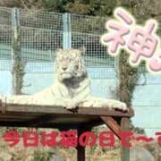 ヒメ日記 2025/02/22 12:22 投稿 ゆきな 小田原人妻城