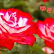 ヒメ日記 2025/02/25 15:33 投稿 ゆきな 小田原人妻城