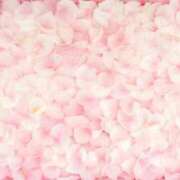 ヒメ日記 2025/03/29 20:03 投稿 ゆきな 小田原人妻城