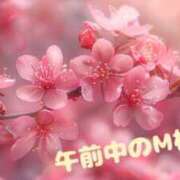 ヒメ日記 2025/04/14 19:33 投稿 ゆきな 小田原人妻城