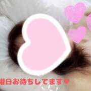 ヒメ日記 2025/08/04 09:07 投稿 ゆきな 小田原人妻城