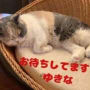 ヒメ日記 2025/08/12 07:34 投稿 ゆきな 小田原人妻城