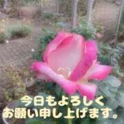 ヒメ日記 2025/11/10 07:35 投稿 ゆきな 小田原人妻城