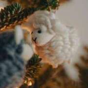 ヒメ日記 2025/12/23 07:20 投稿 ゆきな 小田原人妻城