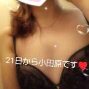 ゆきな 次回は21日から 小田原人妻城