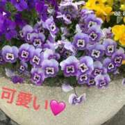 ヒメ日記 2026/04/02 16:49 投稿 ゆきな 小田原人妻城