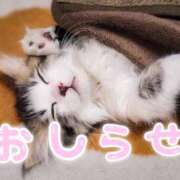 ヒメ日記 2025/12/10 21:48 投稿 はるみ 熟女＆人妻＆ぽっちゃり倶楽部