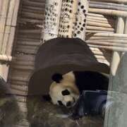 ヒメ日記 2025/06/06 15:48 投稿 山本美羽子 五十路マダム　和歌山店