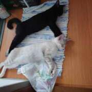 ヒメ日記 2025/08/05 13:14 投稿 雪村【人妻コース】 CLUB CANDY（鳥栖店）