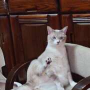 雪村【人妻コース】 今日出勤しようかなぁ CLUB CANDY（鳥栖店）