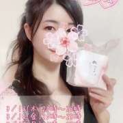 ヒメ日記 2025/03/13 11:35 投稿 花村ひなた クラリスDAO