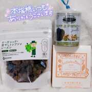 ヒメ日記 2026/02/01 03:01 投稿 花村ひなた クラリスDAO