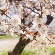 ヒメ日記 2026/02/23 20:49 投稿 花村ひなた クラリスDAO
