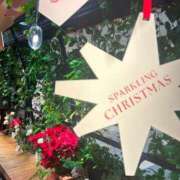 ヒメ日記 2024/12/24 13:08 投稿 高原あやの 五十路マダム富山店(カサブランカグループ)